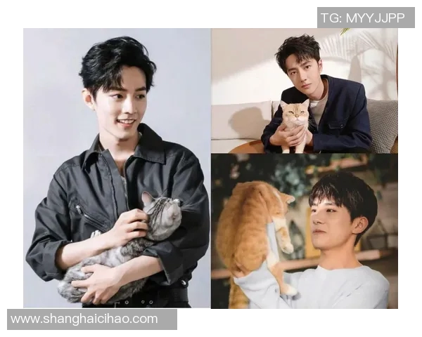 哪个足球明星养猫最轻松最省心适合新手养猫的推荐